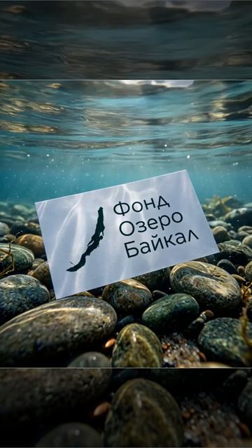 Фонд «Озеро Байкал» смотреть онлайн