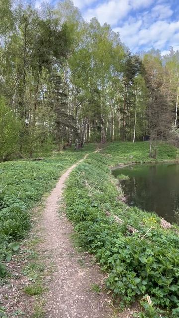 Вода, дерево, огонь…