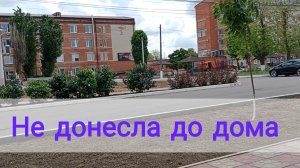 Не донесла до дома, решила прямо на улице показать...
