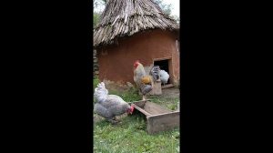 Влог с Волгограда