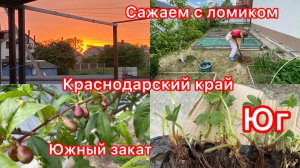 Купили дом. Упахалась в саду. Наша земля. Надо дом. Новые саженцы.