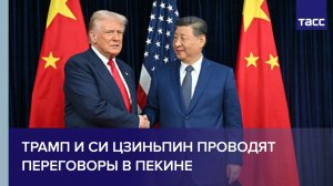 В Пекине проходят переговоры Трампа и Си Цзиньпина
