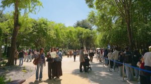 Walking Tour ｜ Seoul Forest Park Spring Vibes with Ambience Sounds