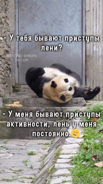 ☺☺☺