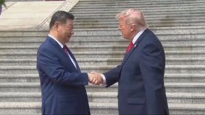 Си Цзиньпин не дал перетянуть свою руку Трампу во время рукопожатия