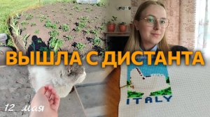ВЛОГ Вышла в ШКОЛУ?📚 Как себя чувствует Сёма🐈