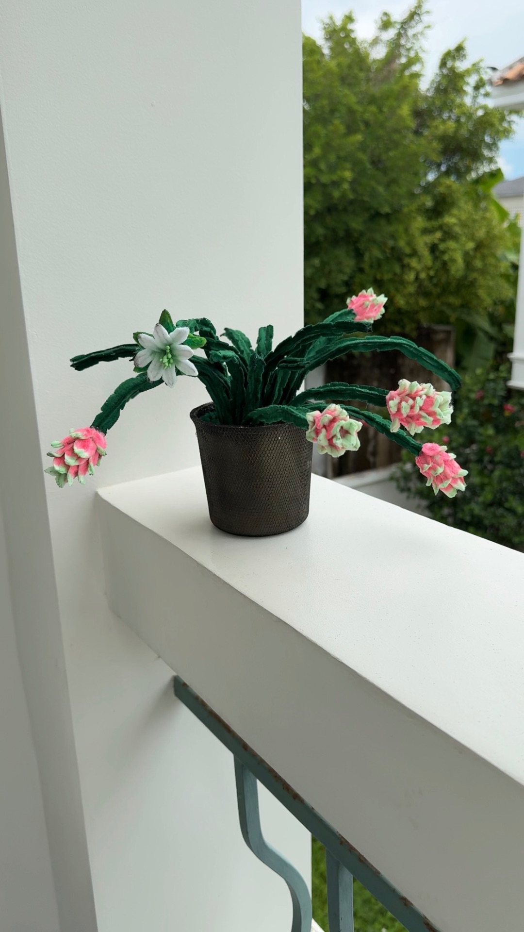Милый Драгон фрукт из пушистой проволоки 🌵🌸