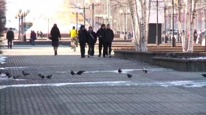 Югорчане рассказали о своём отношении к ненормативной лексике