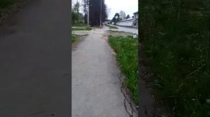 вечерний стрим