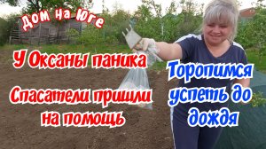 У Оксаны паника. Торопимся успеть до дождя.