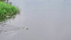 Я живу в красивом месте