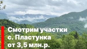 Смотрим землю в Сочи в районе с. Пластунка. от 3,5 млн.р.