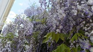 Какой прекрасный яркий и разнообразный Мир