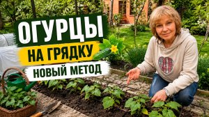 ЧТО НУЖНО СДЕЛАТЬ перед ПОСАДКОЙ? МОЙ МЕТОД  ДАЁТ ОТЛИЧНЫЙ РЕЗУЛЬТАТ!