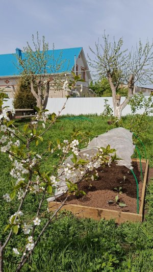 Грядки доделаны и засеяны🌿Серёжа заболел🪿Всё готово к сенокосу 🏡🌳