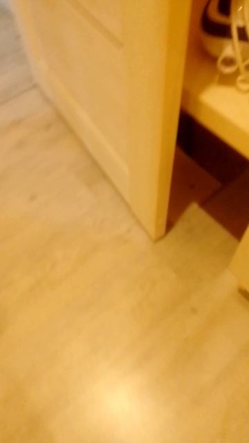 вызов египетского кота 2