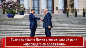 Трамп прибыл в Пекин в унизительной роли «просящего об одолжении»