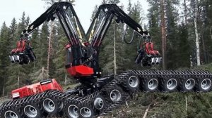 Опасные и быстрые машины по заготовке леса и древесины.
