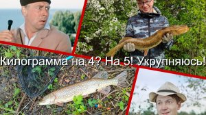 Килограмма на 4? На 5! Укрупняюсь!