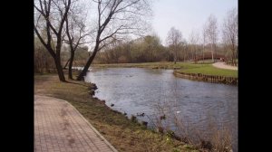«Спи моя красавица» Ария Левко (Римский-Корсаков).исп.Санько Леонид (под минус)