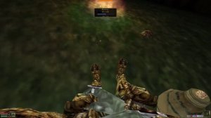 Morrowind in 2026. Immersive FPV release (OpenMW)