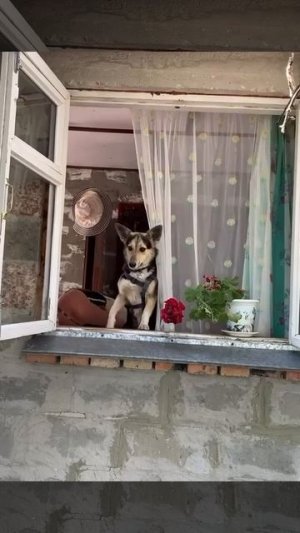 Красивая картина