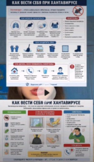 привки