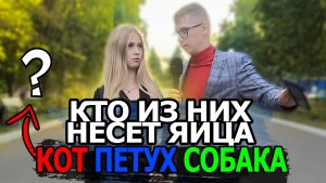 Это знают все дети, но забыли взрослые! Ответь на вопросы и получи 1000