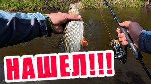 НАШЁЛ РАБОЧУЮ ТОЧКУ!!! КАК ИСКАТЬ ГОЛАЛЯ ВЕСНОЙ??? Спиннинг Arion ASRE832LS 3-15гр.