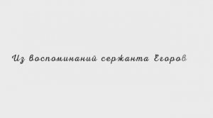 Из воспоминаний сержанта Егорова...