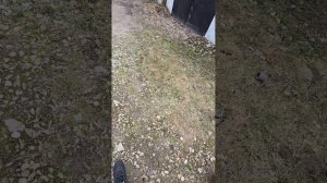 Ищем человека.