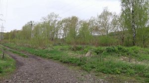 Красное озеро. Кемерово