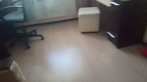 город Иркутск запустили воздушную сирену