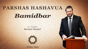 A short thought Bamidbar