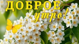 С добрым солнечным утром мая! Самая лучшая музыкальная открытка.