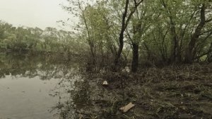 РЫБАЛКА НА ДОНКИ 14 МАЯ