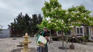 Наталья Курбанова - Надо следить за языком. Жестокая жизнь.