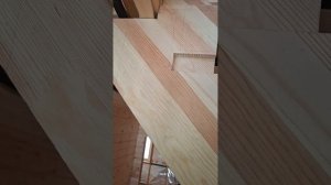1000058276.mp4 (Собака наблюдает за устройством лестницы на 2-ой этаж в доме А-фрейм)