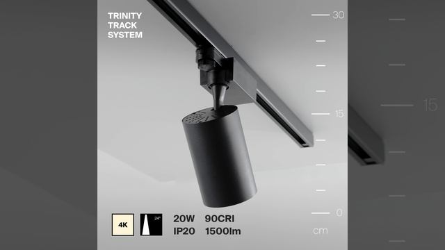 Светильник Maytoni Trinity Vuoro TR029-3-20W4K-S-B смотреть онлайн