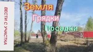 СОБИРАЕМ ГРЯДКИ И САЖАЕМ НА УЧАСТКЕ МНОГОДЕТНОЙ СЕМЬИ.