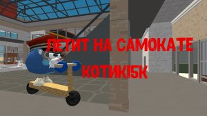 летит на самокате котик 15К
