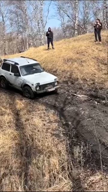 Покупайте ниву