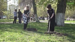 В Самаре 16 мая состоится общегородской субботник