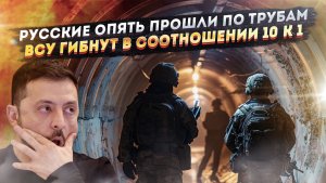Наши герои опять обманули бандеровцев! ВСУшник назвал ужасное соотношение потерь!