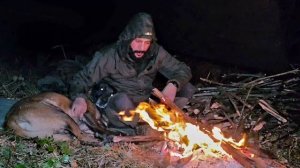 Ночевка в лесу с собакой под брезентом | Выживание в дождь и ветер