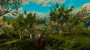 Witcher 3  Relaxing Soundtrack Ambience (Relax with Geralt in Toussaint)