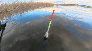 Забросил поплавок под камыш, а там карась, лещ, плотва, густера. Рыбалка на маховую удочку