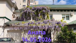 Анапа 14.05.2026 коротко