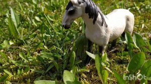 6 серия сериала тайна древнего камня🐎 🖤❤💜