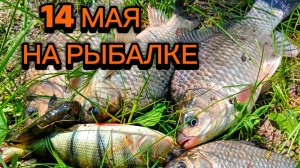 Рыбалка в мае. Ростовская область ст.Старочеркасская